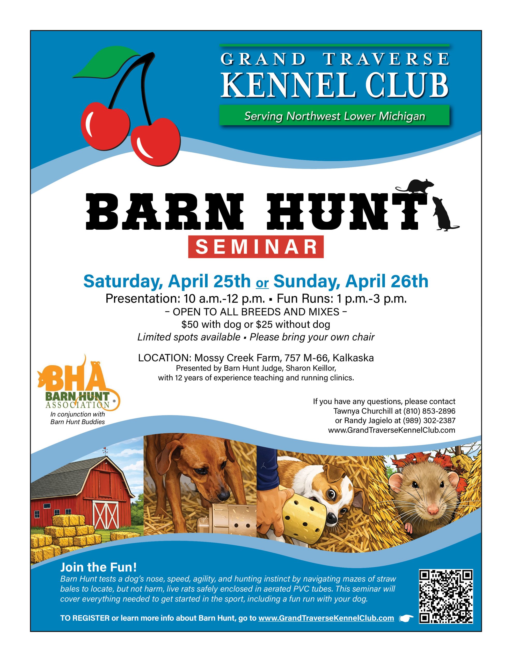 Barn Hunt Flyer